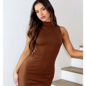 While Fox Boutique Mini Dress